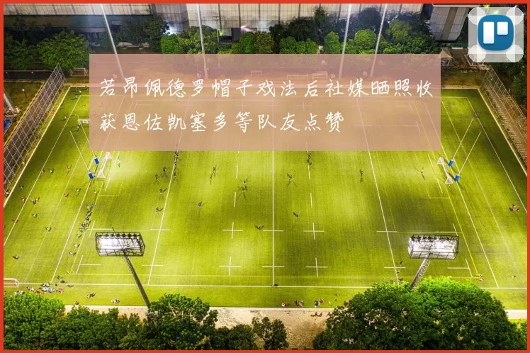 若昂佩德罗帽子戏法后社媒晒照收获恩佐凯塞多等队友点赞