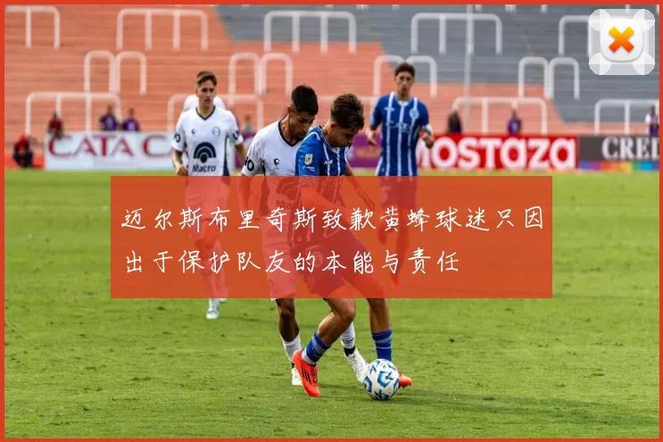 迈尔斯布里奇斯致歉黄蜂球迷只因出于保护队友的本能与责任