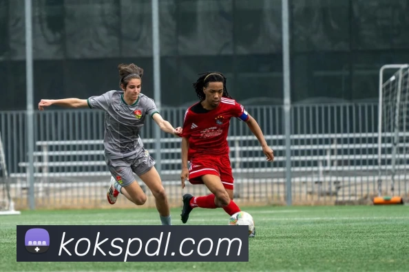 KOK体育APPAPP 封面图